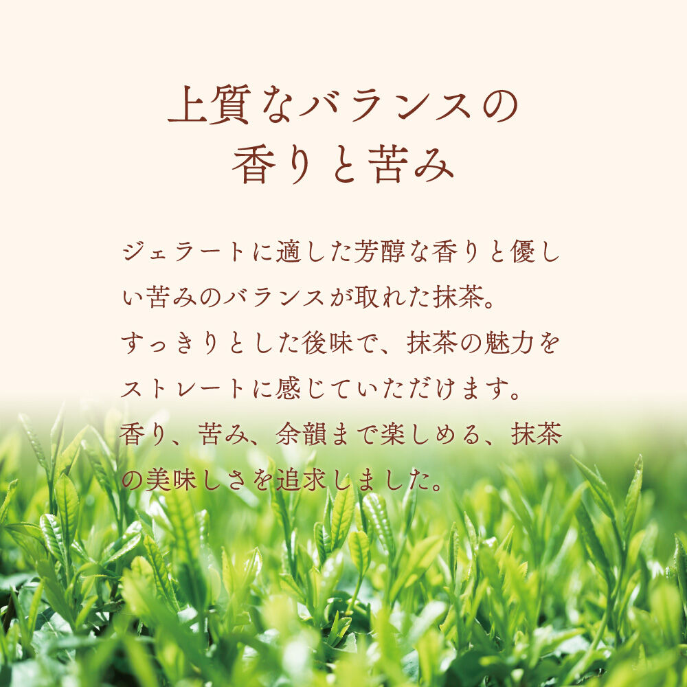 ジェラート ジェラテリア TiG（ティグ）イタリアンジェラート 京抹茶 2000ml (2L) 大容量 無着色 無香料 秋田 美郷町