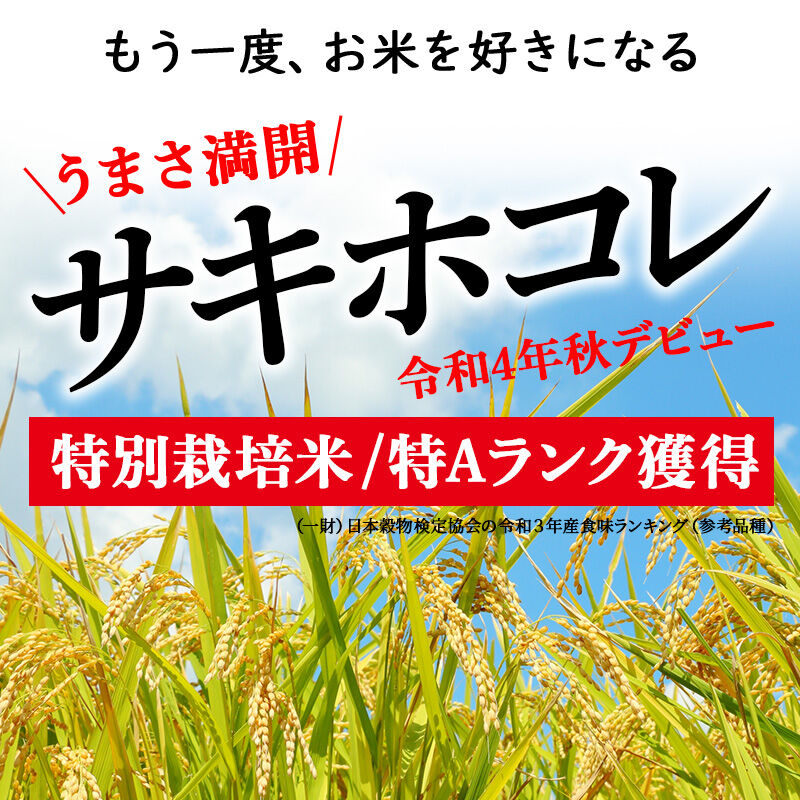 《令和8年産 新米受付》米米 サキホコレ特別栽培米5kg（5kg×1袋)  白米 [秋田県産 白米 さきほこれ 小分け 5kg 5kg袋]