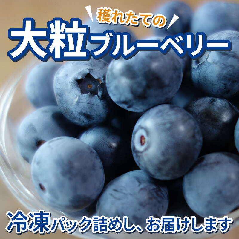くろかわ農園 冷凍ブルーベリー 1kg（500g×2パック） 秋田県美郷町 [摘みたて ブルーベリー 新鮮 その他のフルーツの返礼品]