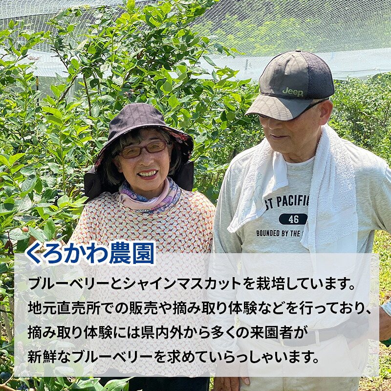 くろかわ農園 冷凍ブルーベリー 1kg（500g×2パック） 秋田県美郷町 [摘みたて ブルーベリー 新鮮 その他のフルーツの返礼品]