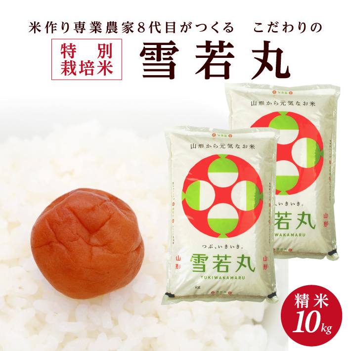 【令和8年産 新米予約】［精米］特別栽培米 雪若丸　10kg(5kg×2袋)「農家直送」 KA　SC0675