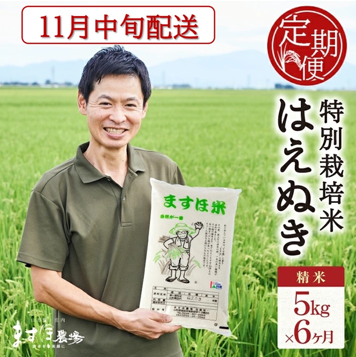 11月中旬発送開始／【6回定期便】令和8年産【精米】特別栽培米はえぬき5kg×6回(計30kg)［減農薬・減化学肥料］ MA　SG0160