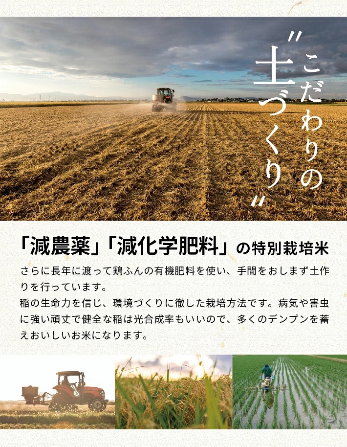 12月中旬発送開始／【6回定期便】令和8年産【精米】特別栽培米はえぬき5kg×6回(計30kg)［減農薬・減化学肥料］ MA　SG0161