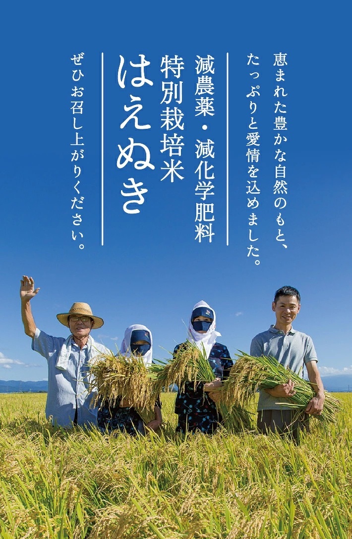 12月中旬発送開始／【6回定期便】令和8年産【精米】特別栽培米はえぬき5kg×6回(計30kg)［減農薬・減化学肥料］ MA　SG0161
