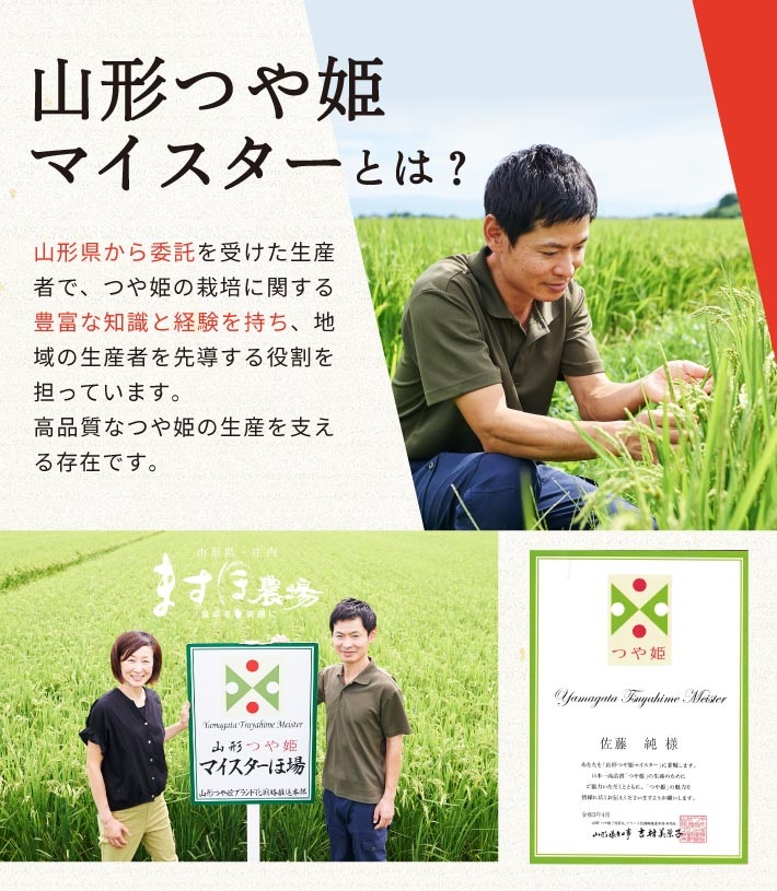 11月下旬発送開始／【6回定期便】令和8年産【精米】つや姫マイスターが作った 特別栽培米『つや姫』5kg×6回(計30kg)［減農薬・減化学肥料］ MA　SI0083