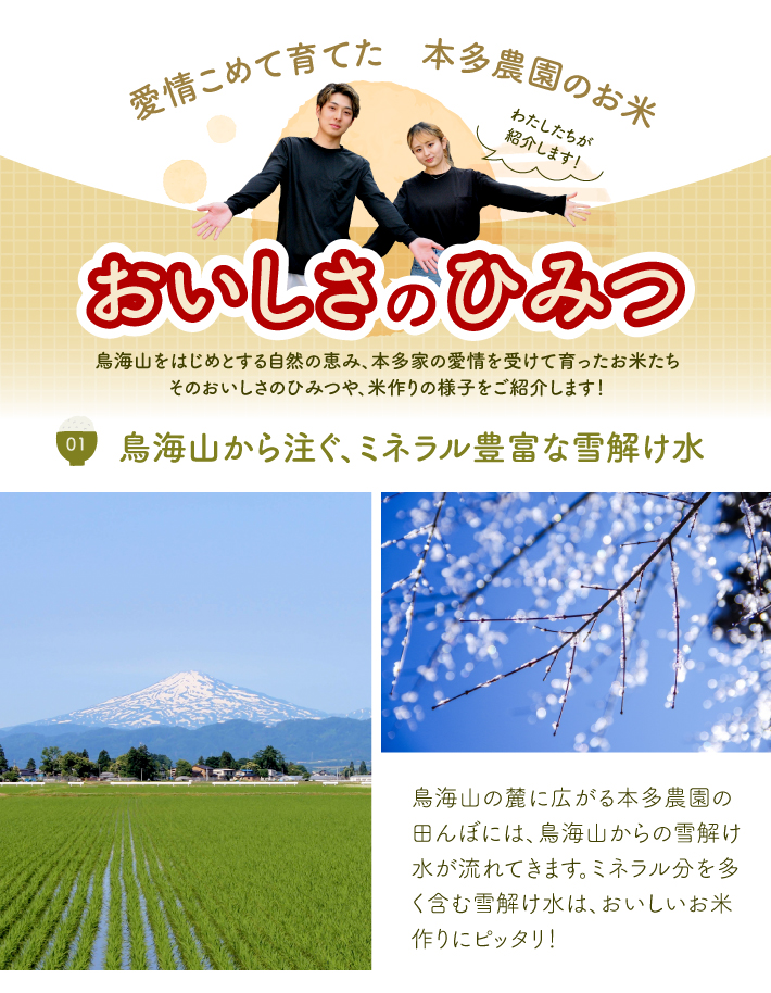 11月下旬発送開始／【6回定期便】令和8年産 【精米】はえぬき　5kg×6回(計30kg) 農家直送 HO SF0380