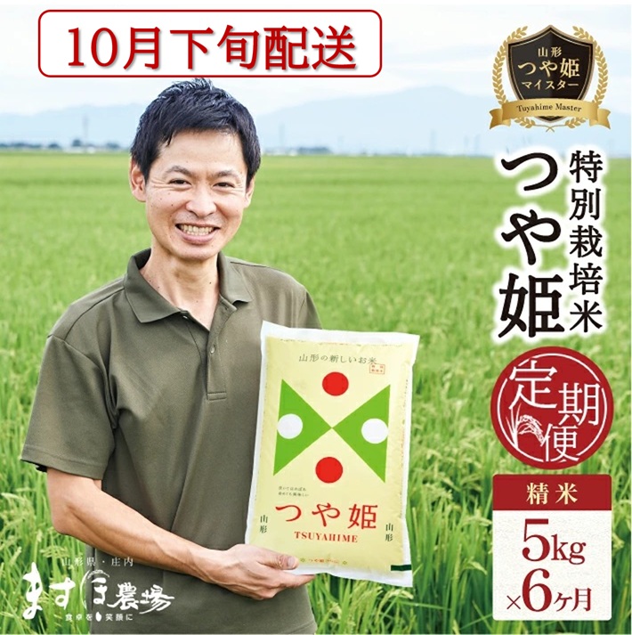 11月下旬発送開始／【6回定期便】令和8年産【精米】つや姫マイスターが作った 特別栽培米『つや姫』5kg×6回(計30kg)［減農薬・減化学肥料］ MA　SI0083