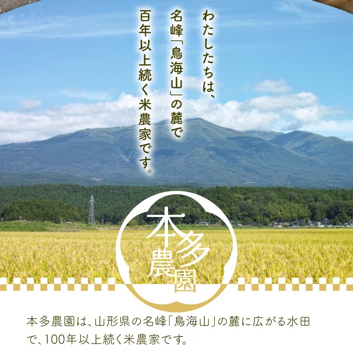 令和8年産【精米】11月上旬配送/はえぬき 10kg 農家直送 HO SB0956