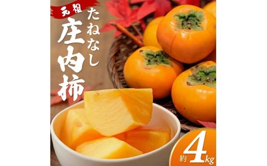 庄内柿　約4kg(22～32玉入) SZ0326
