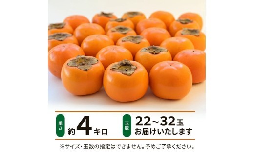 庄内柿 約4kg(22~32玉入) SZ0326