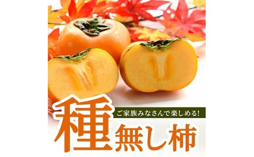 庄内柿 約4kg(22~32玉入) SZ0326
