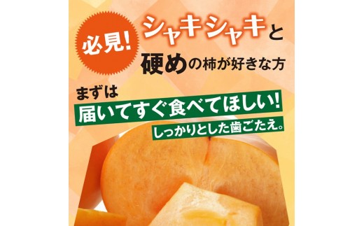庄内柿　約7.2kg(40玉入)　Mサイズ SA2880