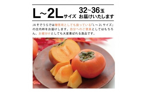 庄内柿　約7.2kg(32～36玉入)　L～2Lサイズ SA2881