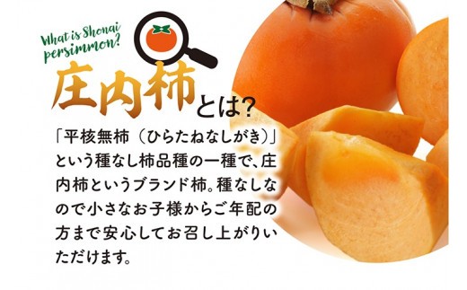 庄内柿　約7.2kg(32～36玉入)　L～2Lサイズ SA2881