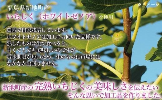 ＜2026年11月下旬発送＞ 国産 いちじくを使った セミドライフルーツ(50g)  ジャム(140g) コンポート(240g)セット 福島県 新地町産 | フルーツ 果物 無花果 ドライイチジク イ