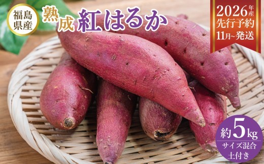 福島県産 熟成 紅はるか さつまいも 5kg 生 | サツマイモ べにはるか ポテト ぽてと おやつ 芋 定番 焼き芋 アウトドア お得用 スイーツ 自然食品 食物繊維 国産 新地町