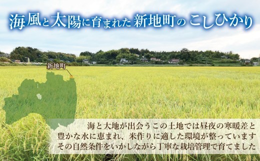 令和8年産 精米 こしひかり 5kg(1袋)新米 | コシヒカリ お米 2026年産 おこめ ライス 精米 R8 ご飯 ごはん 数量限定 げんてい 白米 ブランド米 つや もちもち 新地町 福島県