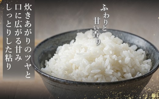 令和8年産 精米 こしひかり 5kg(1袋)新米 | コシヒカリ お米 2026年産 おこめ ライス 精米 R8 ご飯 ごはん 数量限定 げんてい 白米 ブランド米 つや もちもち 新地町 福島県