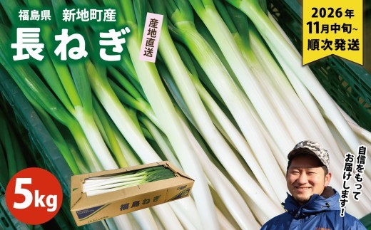 長ネギ 約5kg 1箱 | 訳あり 野菜 やさい 食品 人気 おすすめ 送料無料 ねぎ ネギ 葱 長ねぎ お取り寄せ 福島県 新地町 白ねぎ 鍋 冷凍保存 おかず お徳用 甘い おすそわけ 家庭用