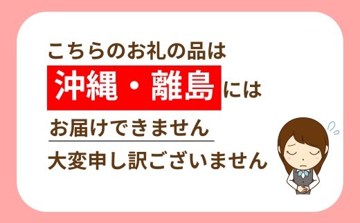 泥付き長ネギ 約5kg 1箱 | 訳あり 野菜 やさい 食品 人気 おすすめ 送料無料 ねぎ ネギ 葱 長ねぎ お取り寄せ 福島県 新地町 白ねぎ 鍋 冷凍保存 おかず お徳用 甘い おすそわけ 家