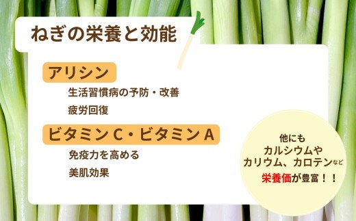 泥付き長ネギ 約5kg 1箱 | 訳あり 野菜 やさい 食品 人気 おすすめ 送料無料 ねぎ ネギ 葱 長ねぎ お取り寄せ 福島県 新地町 白ねぎ 鍋 冷凍保存 おかず お徳用 甘い おすそわけ 家