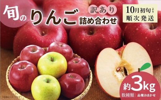新地町産 りんご 詰め合わせ 訳あり 約3kg 1箱 | 果物 くだもの リンゴ フルーツ 旬 産地直送 農家直送 食品 人気 おすすめ 送料無料 お取り寄せ 福島県 新地町 訳アリ わけあり 葉
