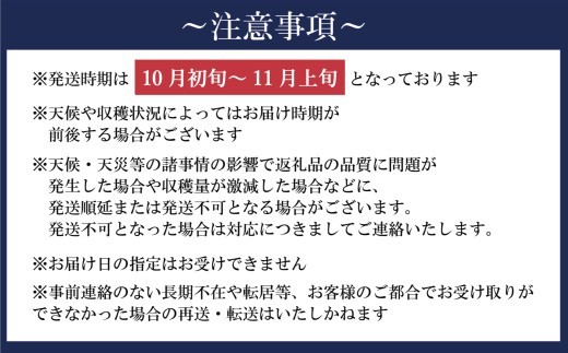 新地町産 りんご 詰め合わせ 訳あり 約3kg 1箱 | 果物 くだもの リンゴ フルーツ 旬 産地直送 農家直送 食品 人気 おすすめ 送料無料 お取り寄せ 福島県 新地町 訳アリ わけあり 葉