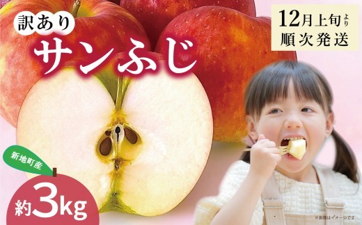 りんご サンふじ 訳あり 約3kg 1箱 | 果物 くだもの リンゴ フルーツ 旬 産地直送 農家直送 食品 人気 おすすめ 送料無料 お取り寄せ 福島県 新地町 訳アリ わけあり 葉とらず サン