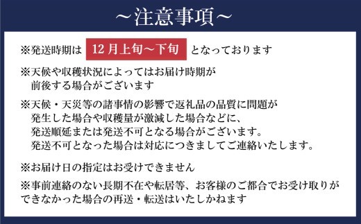 りんご サンふじ 訳あり 約3kg 1箱 | 果物 くだもの リンゴ フルーツ 旬 産地直送 農家直送 食品 人気 おすすめ 送料無料 お取り寄せ 福島県 新地町 訳アリ わけあり 葉とらず サン