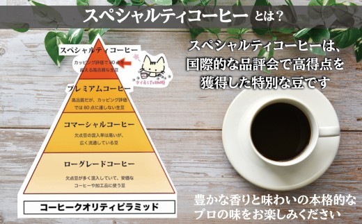 スペシャリティコーヒー ドリップバッグコーヒー飲み比べ４種セット（ブレンド・マンデリン・カツーラ・デカフェ各12g）×3セット 計12個 |  ドリップコーヒー アソート  珈琲  オフィス 贈答 ギ