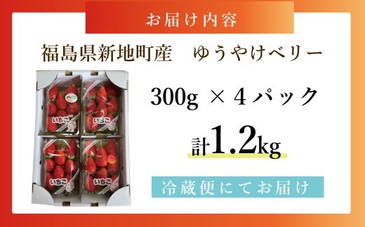 福島県産いちご ゆうやけベリー 約1.2kg (300g×4パック) フルーツ いちご 苺 佐藤正義いちご農園 厳選 福島県 オリジナル ブランド品種 クール便 新鮮 朝摘み 収穫当日発送 福島県