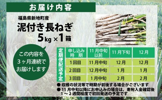 《先行予約》【全3回定期便】泥付き長ネギ 約5kg 1箱 | 訳あり 野菜 やさい 食品 人気 おすすめ 送料無料 ねぎ ネギ 葱 長ねぎ お取り寄せ 福島県 新地町 白ねぎ 鍋 冷凍保存 おかず お