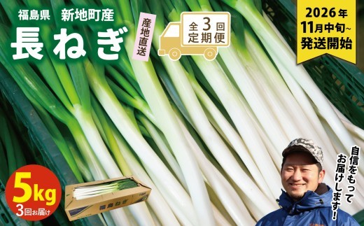 《先行予約》【全3回定期便】長ネギ 約5kg 1箱 | 訳あり 野菜 やさい 食品 人気 おすすめ 送料無料 ねぎ ネギ 葱 長ねぎ お取り寄せ 福島県 新地町 白ねぎ 鍋 冷凍保存 おかず お徳用
