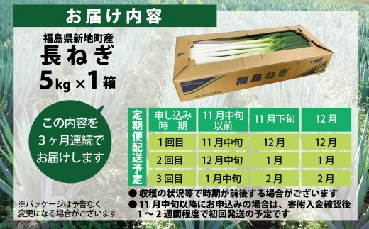 《先行予約》【全3回定期便】長ネギ 約5kg 1箱 | 訳あり 野菜 やさい 食品 人気 おすすめ 送料無料 ねぎ ネギ 葱 長ねぎ お取り寄せ 福島県 新地町 白ねぎ 鍋 冷凍保存 おかず お徳用
