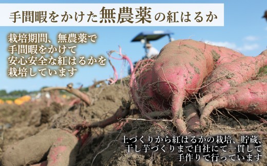 国産 紅はるか 干し芋 3種食べ比べ 3袋セット(平干し110g×1 皮つき150g×1 丸干し150g×1)  2027年1月以降順次発送｜ いも ほしいも  干しイモ さつまいも サツマイモ