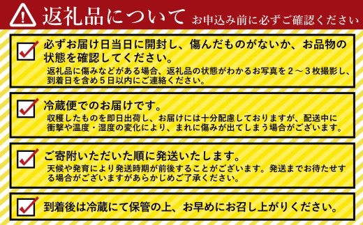 【2026年10月中旬以降順次発送】福島県 新地町産 クイーンニーナ1kg(2~3房) | 果物 くだもの ぶどう 葡萄 ブドウ フルーツ 旬 産地直送 農家直送 人気 おすすめ 送料無料 お取り寄せ