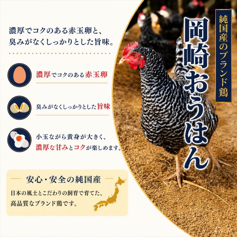 卵 朝採れ 平飼い 自然卵 鶏卵 生卵 新鮮 【選べる内容量】 30個 60個 定期便 3回 割れ補償付き 産地直送 赤卵 朝ごはん 朝食 ごはんのおとも たまごかけごはん 卵かけご飯 タマゴ 玉子 玉子焼き エッグ