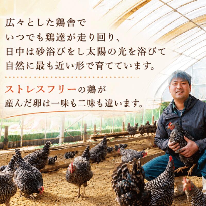 卵 朝採れ 平飼い 自然卵 鶏卵 生卵 新鮮 【選べる内容量】 30個 60個 定期便 3回 割れ補償付き 産地直送 赤卵 朝ごはん 朝食 ごはんのおとも たまごかけごはん 卵かけご飯 タマゴ 玉子 玉子焼き エッグ