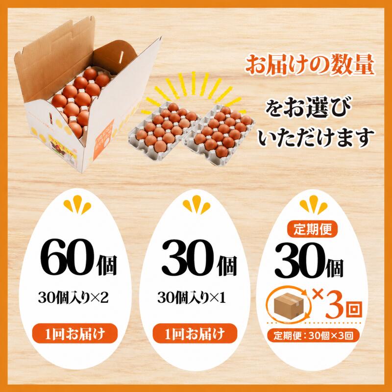 卵 朝採れ 平飼い 自然卵 鶏卵 生卵 新鮮 【選べる内容量】 30個 60個 定期便 3回 割れ補償付き 産地直送 赤卵 朝ごはん 朝食 ごはんのおとも たまごかけごはん 卵かけご飯 タマゴ 玉子 玉子焼き エッグ