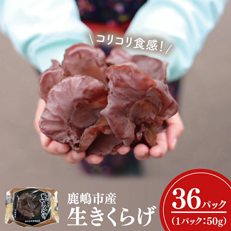 生きくらげ 1.8kg (50g入)×36パック 国産 純国産 キノコ 茸 木耳 コリコリ食感 肉厚 食物繊維 小分け 安心 安全 炒め物 スープ サラダ ビタミンD 和食 洋食 中華 美味しい