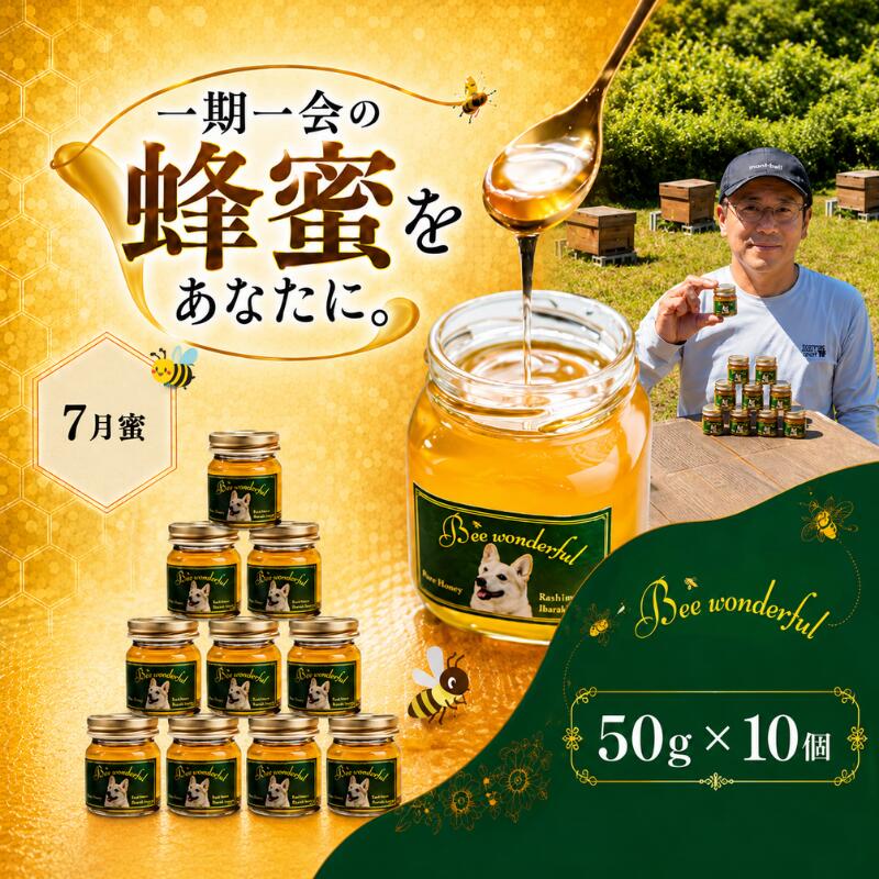 はちみつ 百花蜜 養蜂 自家採蜜 非加熱 蜂蜜 産地直送 50g×10個 贈答用 贈答 ハニー 国産 プレゼント 一期一会 7月蜜 ギフト 自然のめぐみ ふるさと納税 茨城県 鹿嶋市