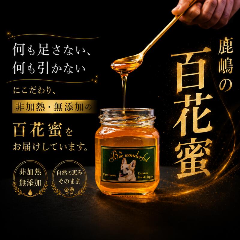 はちみつ 百花蜜 養蜂 自家採蜜 非加熱 蜂蜜 産地直送 50g×10個 贈答用 贈答 ハニー 国産 プレゼント 一期一会 7月蜜 ギフト 自然のめぐみ ふるさと納税 茨城県 鹿嶋市