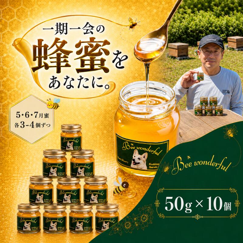 はちみつ 百花蜜 養蜂 自家採蜜 非加熱 蜂蜜 産地直送 50g×10個 贈答用 贈答 ハニー 国産 プレゼント 一期一会 5月蜜 6月蜜 7月蜜 ギフト 自然のめぐみ ふるさと納税