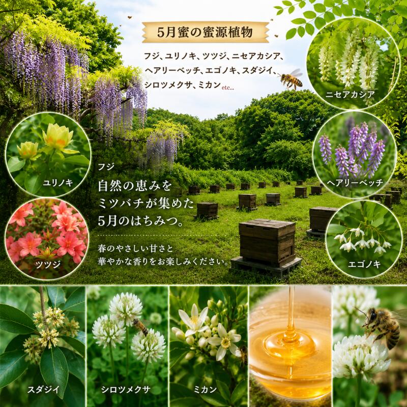はちみつ 百花蜜 養蜂 自家採蜜 非加熱 蜂蜜 産地直送 50g×10個 贈答用 贈答 ハニー 国産 プレゼント 一期一会 5月蜜 6月蜜 7月蜜 ギフト 自然のめぐみ ふるさと納税
