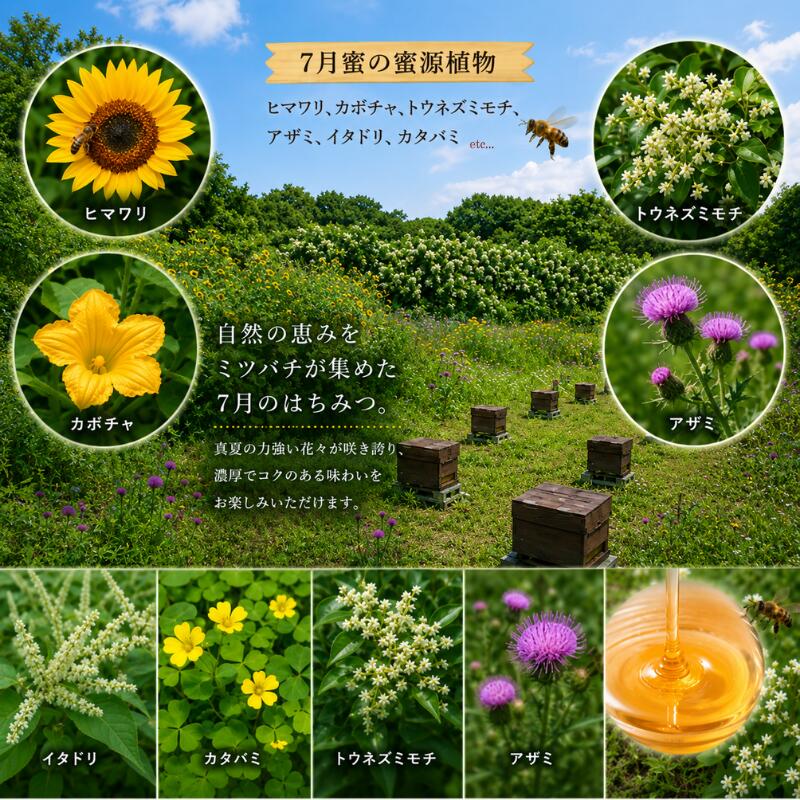 はちみつ 百花蜜 養蜂 自家採蜜 非加熱 蜂蜜 産地直送 50g×10個 贈答用 贈答 ハニー 国産 プレゼント 一期一会 5月蜜 6月蜜 7月蜜 ギフト 自然のめぐみ ふるさと納税