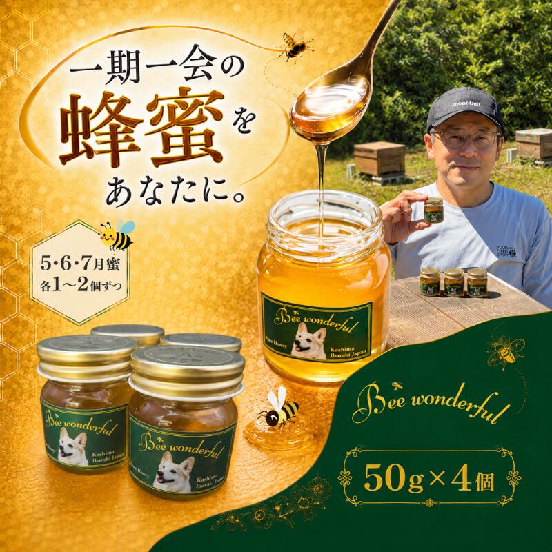 はちみつ 百花蜜 養蜂 自家採蜜 非加熱 蜂蜜 産地直送 50g×4個 贈答用 贈答 ハニー 国産 プレゼント 一期一会 5月蜜 6月蜜 7月蜜 ギフト 栄養 自然のめぐみ ふるさと納税