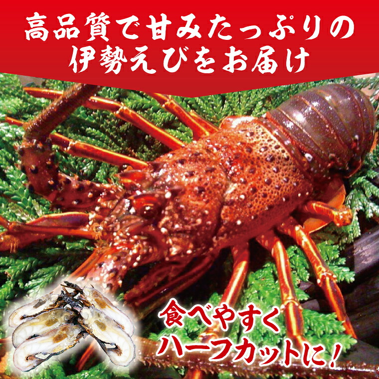 伊勢海老 300g～2kg 1～10尾 冷凍 国産 天然 産地直送 国産 鹿島灘 鹿島灘産 厳選 伊勢エビ エビ 海老 イセエビ 海鮮 シーフード 海 個包装 加熱用 加熱 鹿嶋市