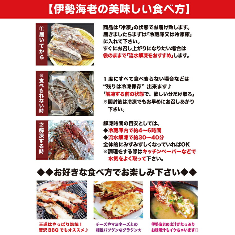 伊勢海老 300g～2kg 1～10尾 冷凍 国産 天然 産地直送 国産 鹿島灘 鹿島灘産 厳選 伊勢エビ エビ 海老 イセエビ 海鮮 シーフード 海 個包装 加熱用 加熱 鹿嶋市