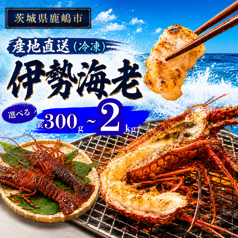 伊勢海老 300g～2kg 1～10尾 冷凍 国産 天然 産地直送 国産 鹿島灘 鹿島灘産 厳選 伊勢エビ エビ 海老 イセエビ 海鮮 シーフード 海 個包装 加熱用 加熱 鹿嶋市