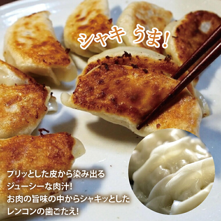 餃子 れんこん 蓮根肉餃子のおばけん 140粒 野菜 ギョーザ れんこん しゃきしゃき おいしい 茨城県 鹿嶋市